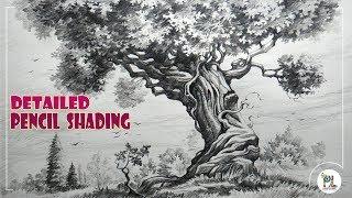 Learn How to Sketch and Shade A Detailed Tree  with Pencil | Easy Pencil Art