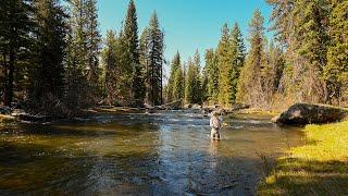 Fly Fishing Heaven! Huge Trout Around Every Bend… (Trout Fishing)