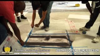 IN-DEPTH Guide on Concrete Polishing for Beginners | Xtreme Polishing Systems