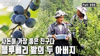 전라북도 무주, 싱그러운 블루베리 밭의 두 아버지를 모시는 며느리가 있다? (KBS 20170809 방송)