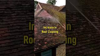 Rapid Roof Cleaning Techniques You Need