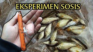 Eksperimen umpan sosis | Mancing Wader Umpan Sosis | Cara Pasang Umpan Sosis