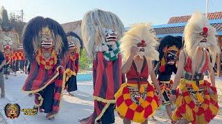 Seruu !! Arak Arakan Barongan Blora Reog Ponorogo Seni Barong TARUNO ADI JOYO Live Tengger