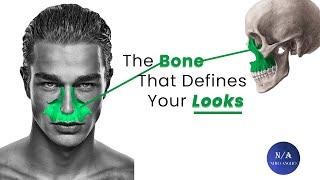 Facial Attractiveness : How The Maxilla Makes or Breaks Your Looks