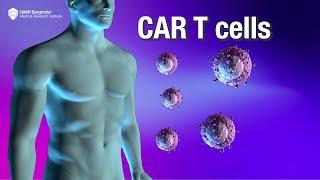 What are cancer-fighting CAR T cells and how do they work?