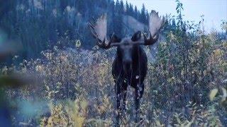 Jim Shockey's Hunting Adventures - Rogue River Outfitters - Outdoor Channel