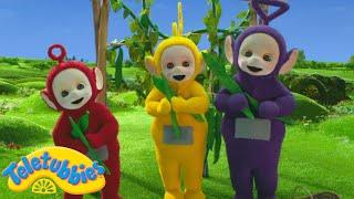 Teletubbies | Remember To Eat Your Greens! | Shows for Kids