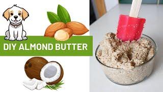 Homemade Almond Butter Recipe for Dogs  Healthy DIY Dog Treats