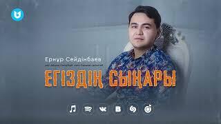 Ернұр Сейдінбаев - Егіздің сыңары