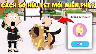 PLAY TOGETHER | SỞ HỮU TRỨNG " Pet Retriever " MIỄN PHÍ ?, VÀ BẤT NGỜ  KHI CƯỠI PET !