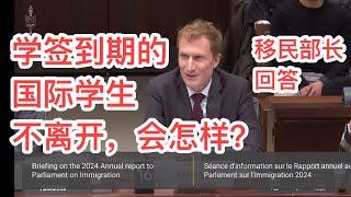 留学移民加拿大|移民部长被拷问。学签到期的国际学生，加拿大政府有什么办法确保他们都离开？ 他们会自愿离开吗？