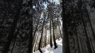 ЗИМА В ТУРЦИИ. СНЕГ В ТУРЦИИ 2021 год. Snow in Turkey #shorts