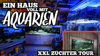 Ein HAUS voller AQUARIEN | XXL BUNTBARSCH ZÜCHTER TOUR