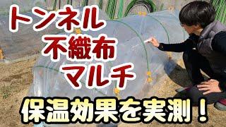 【被覆資材の保温効果】トンネル,不織布,マルチで温度は何度上がるのか？