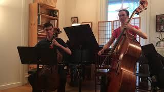 Duo for Cello and Double Bass - i (Rossini)