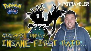 PGTraveler - 1st Raid shiny Gigantamax *** ! PLAY & HAVE FUN is back after Unova Tour...