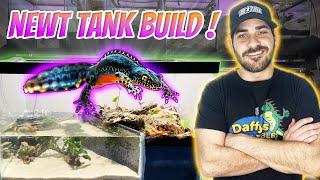 How To Build A Paludarium! (Step By Step)