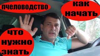 Пчеловодство как начать с чего начать. Как завести пчел и пасеку. Пчеловодство с нуля.