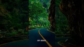 Tera Fitoor - Arijit Singh Slowed x Lofi | Asif Creation | Aesthetic status nature | #terafitoor