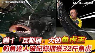 嚇！「瓦斯桶」大的魚虎王　釣魚達人破紀錄捕獲32斤魚虎│94看新聞