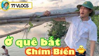 Ở Quê Đi Bắt Chim Biển và Cái Kết Bất Ngờ ( Going To Catch Sea Birds ) | 77 Vlogs