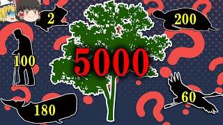 【寿命5000年】なぜ植物は動物に比べ異常に長生きするのか【ゆっくり解説】【雑学】