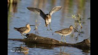 Langell Photography:  Moments from Nature 2011