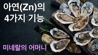 미네랄 #6: 아연(Zinc)의 4가지 기능 (미네랄의 어머니)