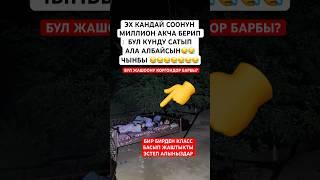 ЖАШТЫГЫМ #automobile #моялошадь #тикток #тиктокнутая #дуэт #лошадки #тренд #rek #horse