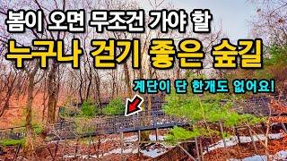 Seoul Trekking Course You Must Visit in SpringㅣSeoul travelㅣSeoul walkㅣSeoul subway