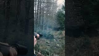 SWEDISH DRIVEN HUNT 3 - SOUTHERN HUNTING