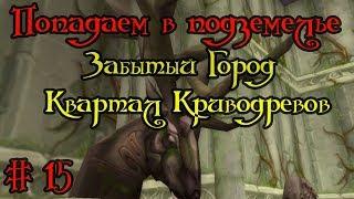 Где вход, как попасть в подземелье #15 - Забытый Город(Квартал Криводревов)(Dire Maul)