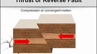 TMart Science  Folding and Faulting