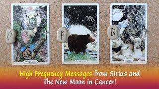 High Frequency Messages from Sirius and the New Moon in Cancer️️🪄