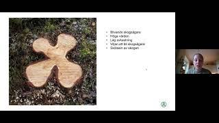 Digital Skogskväll med Södra i Vimmerby - Föryngring av skog och skogsägare