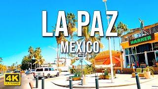 Driving Around La Paz | Baja California Sur | Mexico [4K]