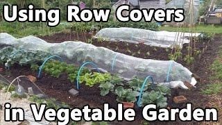 Using Row Covers in Vegetable Garden - fleece, enviromesh, veggiemesh, insect and bird netting