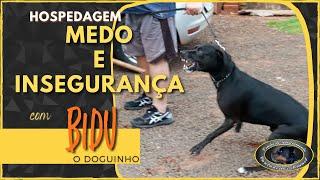 Chegada para Hospedagem - BIDU - SRD