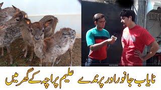 Rare Beautiful Exotic Animals and Birds 2020 video at Setup of Aleem Paracha House In Urdu Hindi