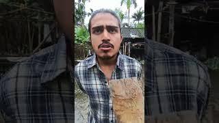 Assamese Funny Video  #funnyshorts #todaytrending #assamesefunnyvideo