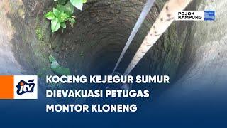 Koceng Kejegur Sumur Dievakuasi Petugas Montor Kloneng | POJOK KAMPUNG JTV