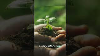 #planthealing #greenfuture #savetheworld #sustainabilitymatters #growgreen #earthlovers #shorts