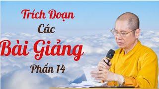 Tổng Hợp Trích Đoạn Các Bài Giảng Của TT.TS. Thích Chân Quang | Phần 14