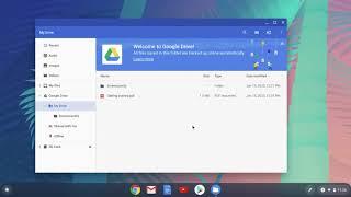 How to Use the Files App (or File Management) on your Chromebook