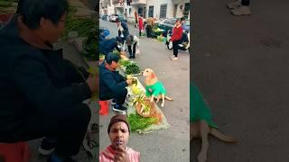 Vegetable marketing dog|| #funny#dog#pets#comedy|| #trending#cute#viralreels|| #dogfoodchallenge