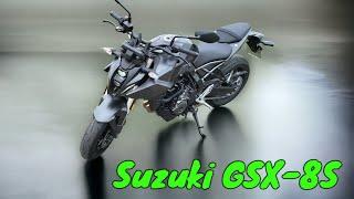 Suzuki GSX-8S - Ein spannendes Bike für einen guten Preis