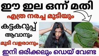 (ഇനി ഡെയ് വേണ്ട )നമ്മടെ എല്ലാവടെയും വീട്ടിലെ ഈ ഒരു (ഇല) മതി നരച്ച മുടി മുഴുവനായും കട്ടക്കറുപാവാൻ