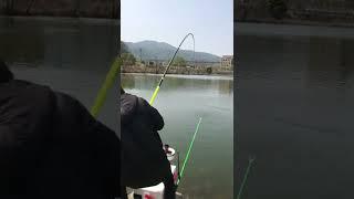 Fishing Exciting~Catch Of Fish~Fishing