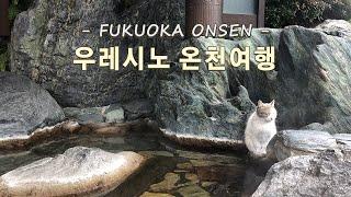 일본 온천여행 ️ 후쿠오카 우레시노 온천마을 | 요시다야 료칸 |  도자기헌팅 | 온천두부 맛집 