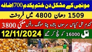 Munji rates 1509.Supri .lal 86 kainat Gundam rate Makki Till rates 2024 Mazhar Agri Info